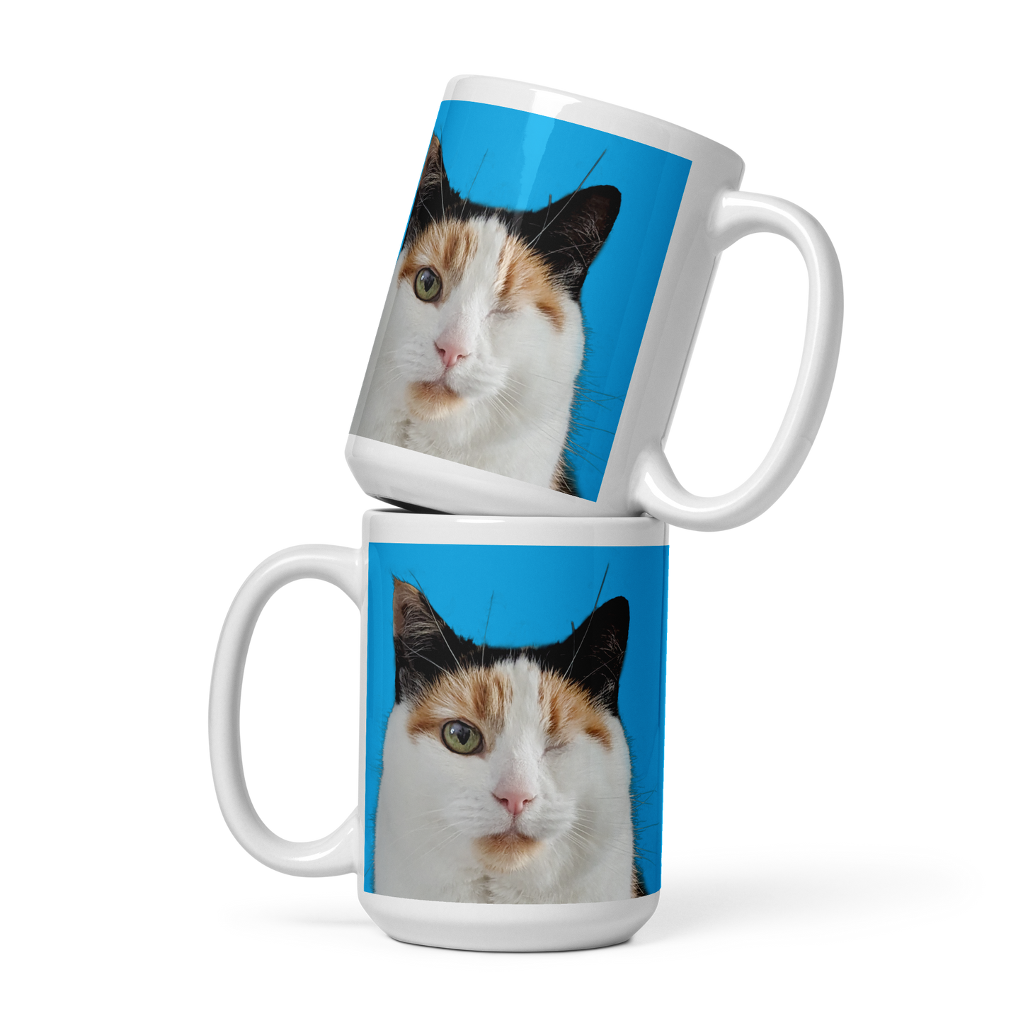 Skye close-up mug