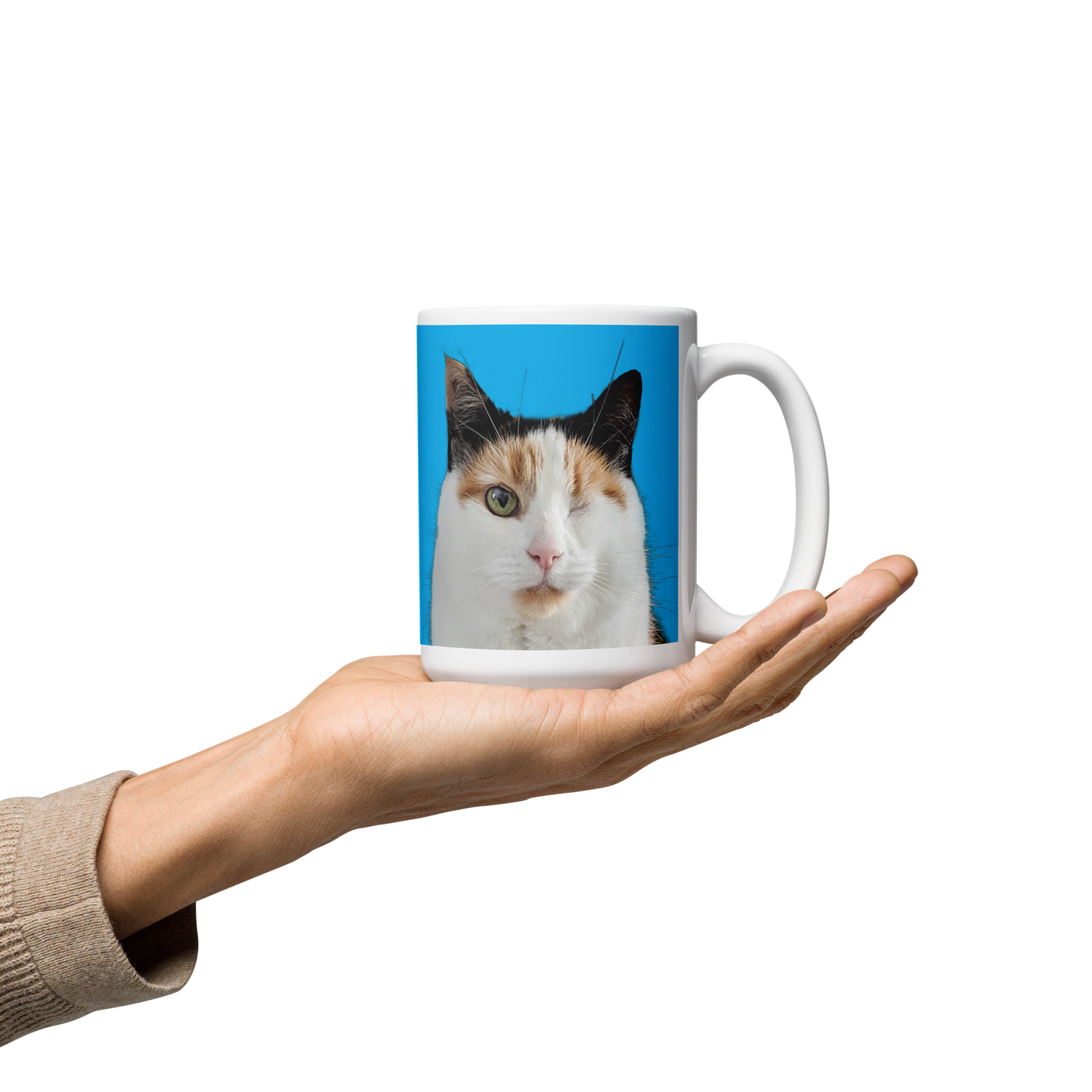 Skye close-up mug